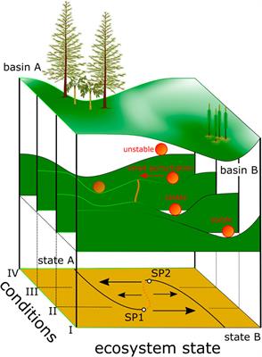 Regime Shifts in an Early Triassic Subtropical Ecosystem